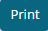 Print button